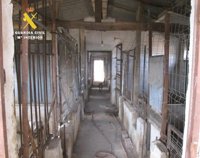 La Guardia Civil presenta 40 denuncias contra el propietario de un centro de cría de perros clandestino en Burgos