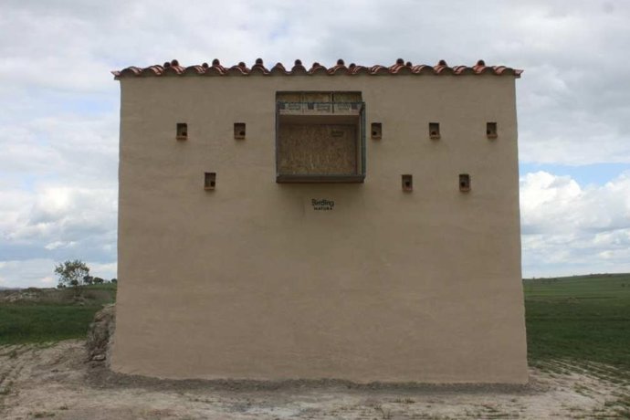 Reintroducción del cernícolo primilla