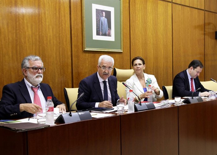 El consejero Manuel Jiménez Barrios en comisión 