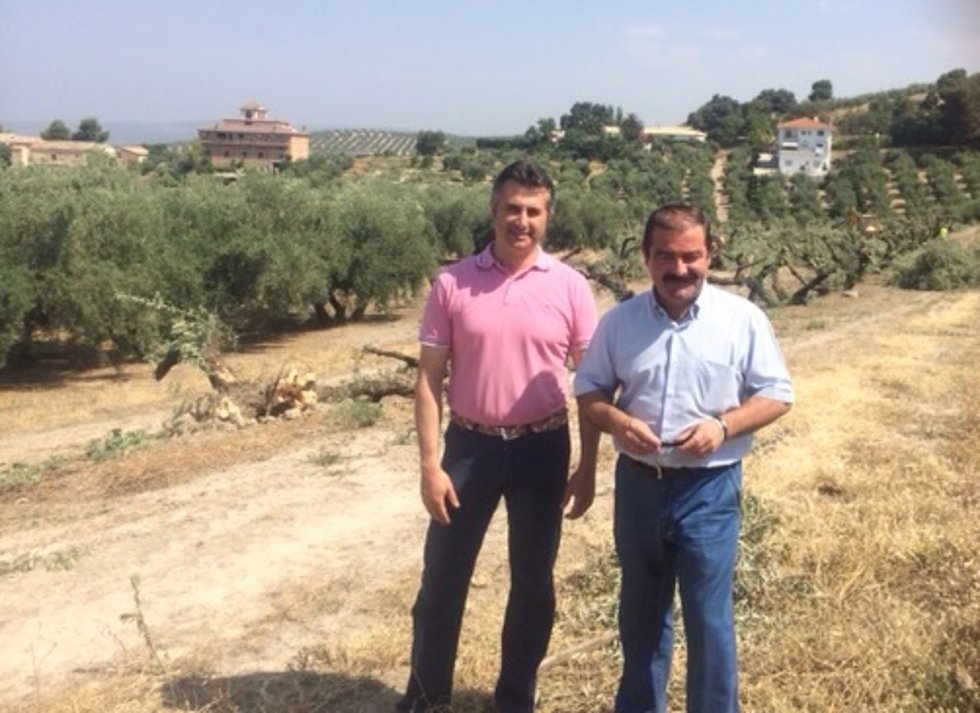 Visita a la creación de un acceso a Chilluévar (Jaén)