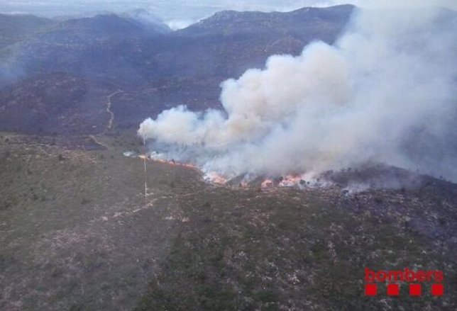 Incendio de Tivissa (Tarragona)