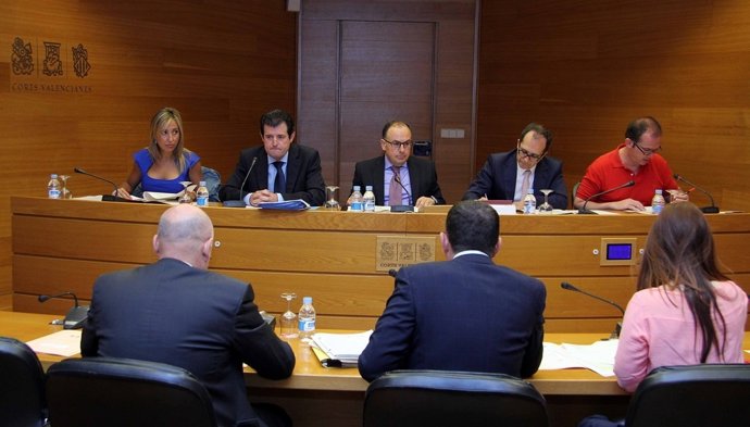 Comsión en las Corts sobre RTVV