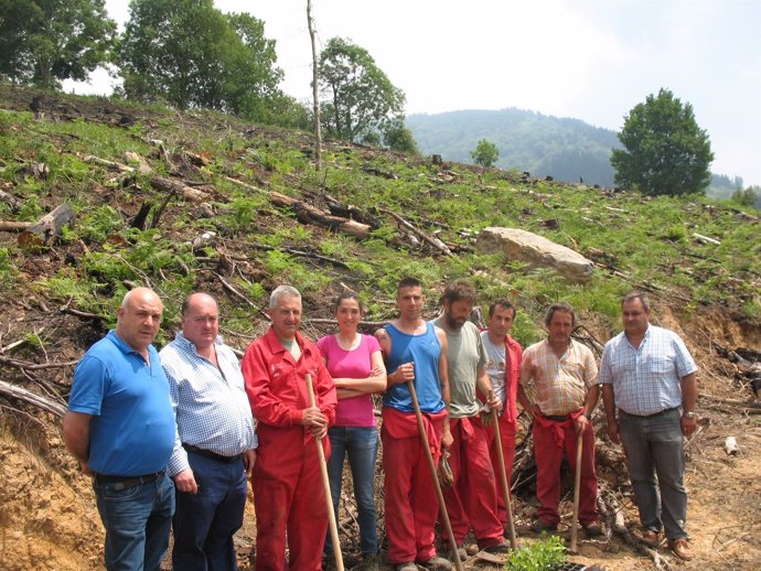 Trabajos de reforestación en Villasevil