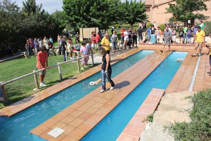 Primer parque acuático para perros de España
