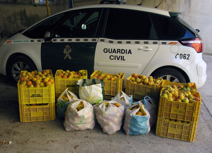 Operación Guardia Civil contra el robo en explotaciones agrarias y productos