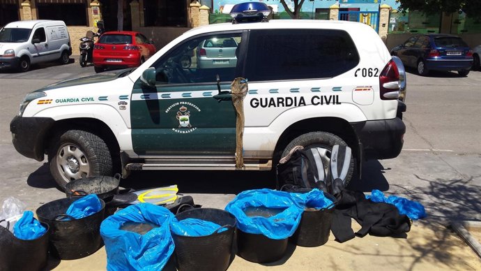 Guardia Civil Anémona intervención 