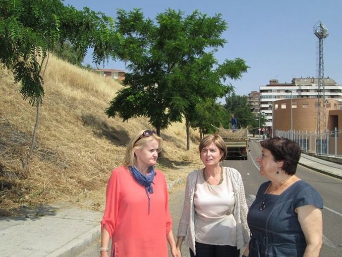 Visita del PSOE a la zona