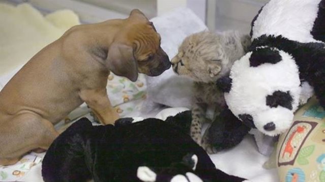 Top 10 noticias más vistas