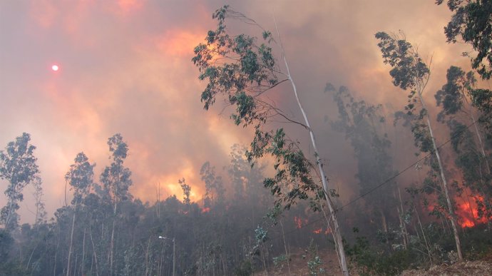 Incendio próximo a Santiago declarada la alerta 1