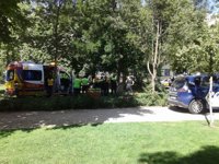 Un hombre muere tras caerle una rama en El Retiro