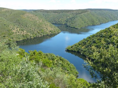 Parque Natural Tajo Internacional