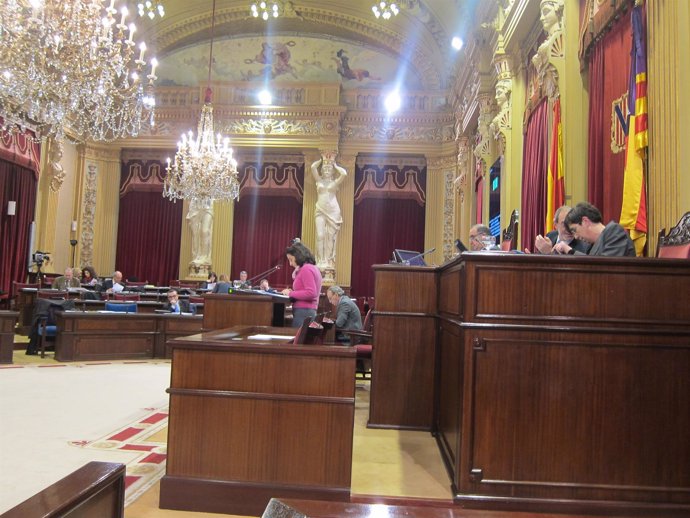 Pleno Parlament