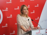 PSOE pide una comparecencia de Junta en Cortes sobre déficit