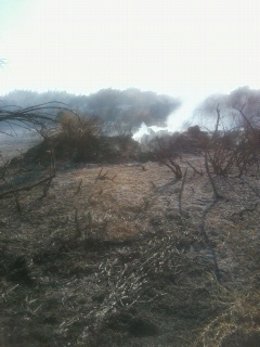 Incendios en solares abandonados 