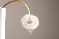 Superar la disfunción eréctil