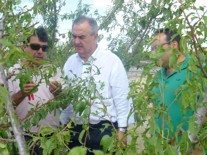 González Tovar visita los campos de frutales afectados por la granizada