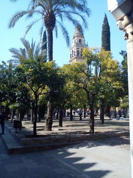 El Patio de los Naranjos de la Mezquita de Córdoba
