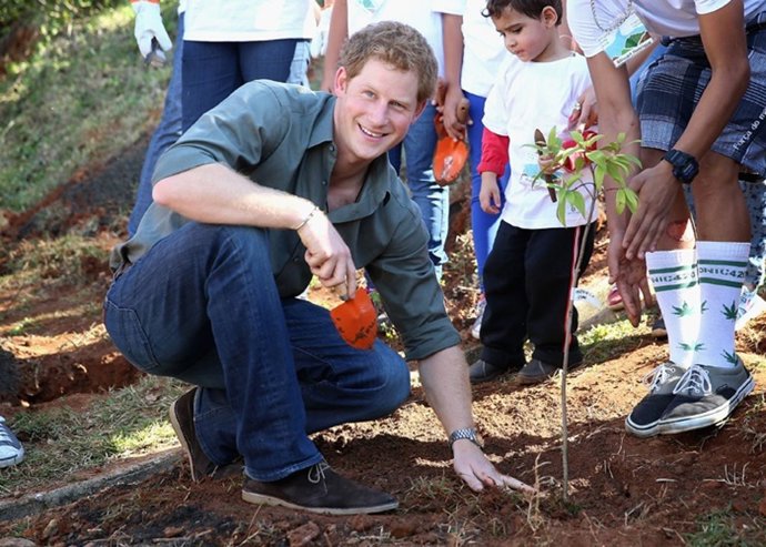 Prince Harry plants a tree as he visits Cota 200