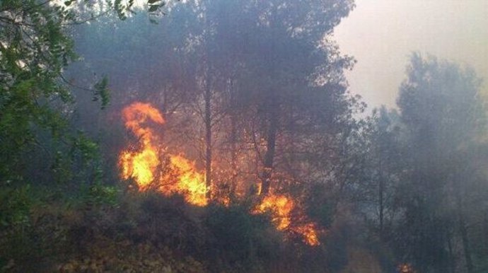 Imagen de un incendio forestal