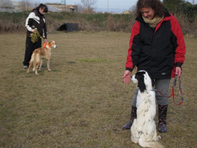 Perros. Dos mujeres en una clase para adiestrar a sus mascotas