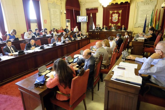 Pleno del Ayuntamiento de Málaga del mes de junio