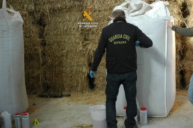 Operación contra el tráfico de semillas