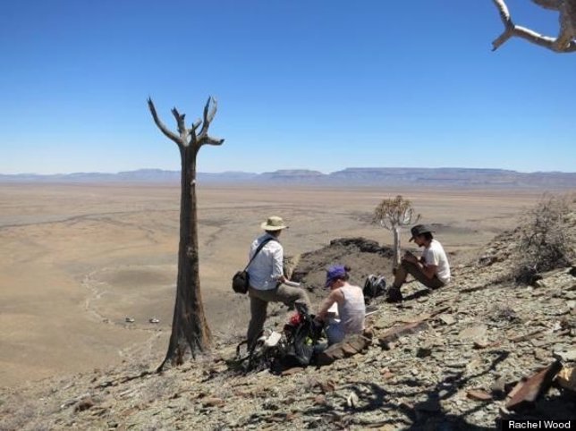 Descubren en Namibia el arrecife más antiguo