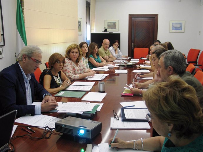 Reunión del Consejo Provincial de Asuntos Sociales en Jaén