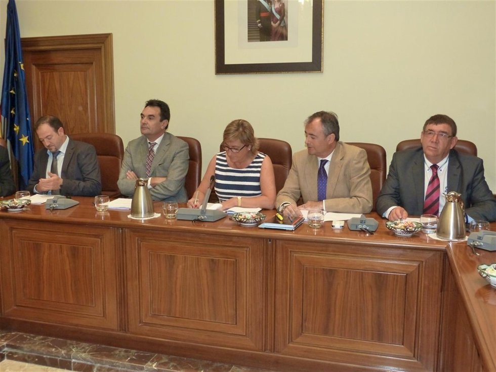 La DPT ha celebrado sesión plenaria