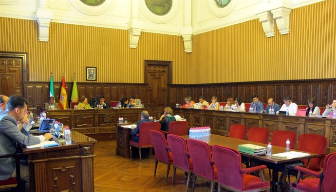 Pleno ordinario en la Diputación de Jaén