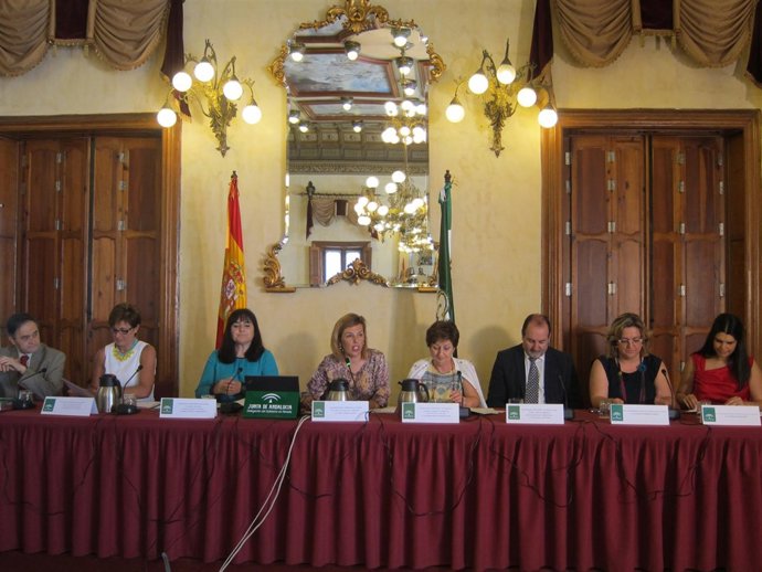 Presentación de las actividades del Milenio de Almería 
