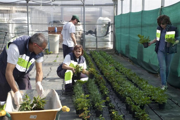 Curso de horticultura 