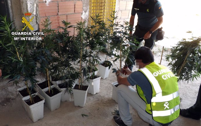 La Guardia Civil detiene a cinco personas por tráfico de drogas 