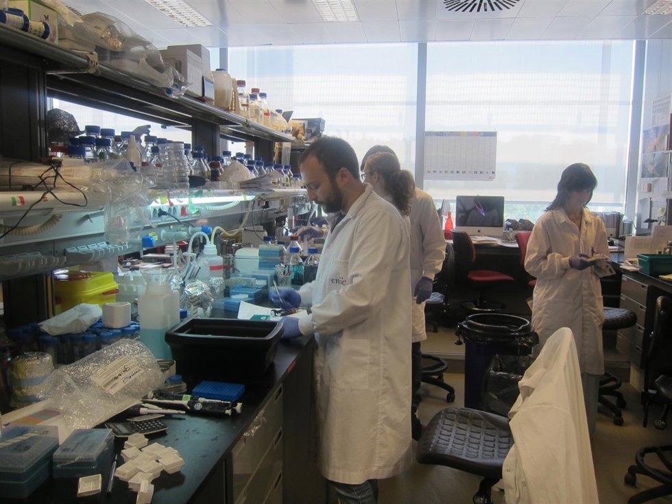 CIENTÍFICOS EN UN LABORATORIO. CNIC