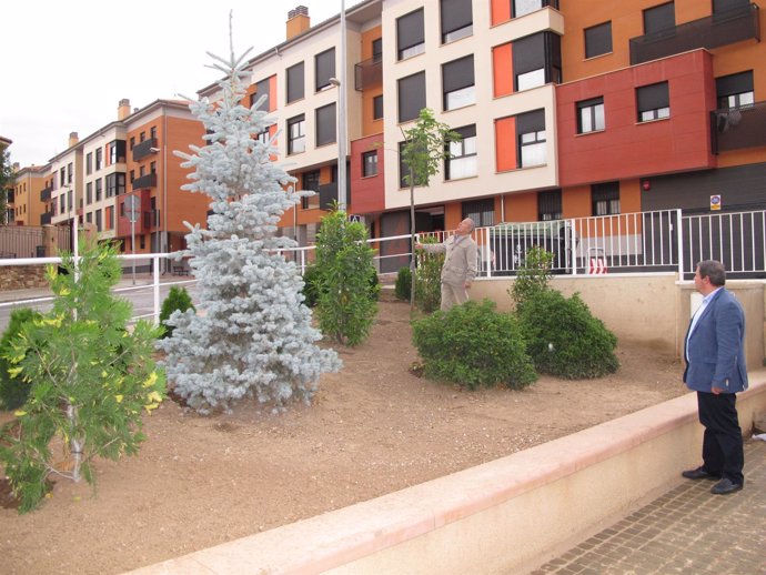 Nueva zona ajardinada en la Plaza del Labrador de Teruel