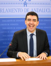 PSOE-A dice que PP-A, al pedir Pleno sobre corrupción este mes, intenta "recuperar lo que no ha hecho en todo el curso"