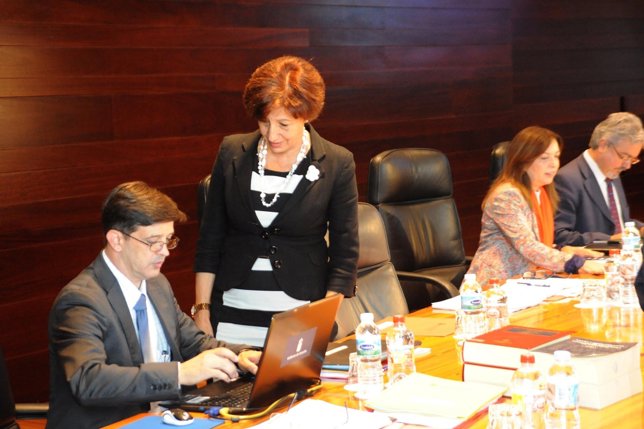 Ortiz, en el Consejo