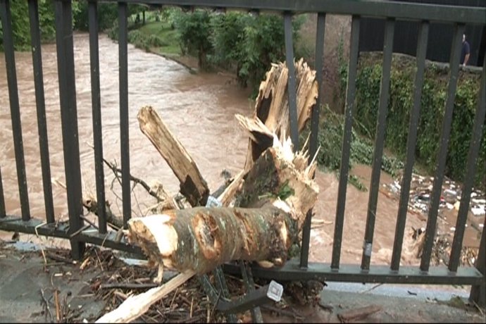 Imágenes de un árbol roto en un puente de Elizondo (Navarra)