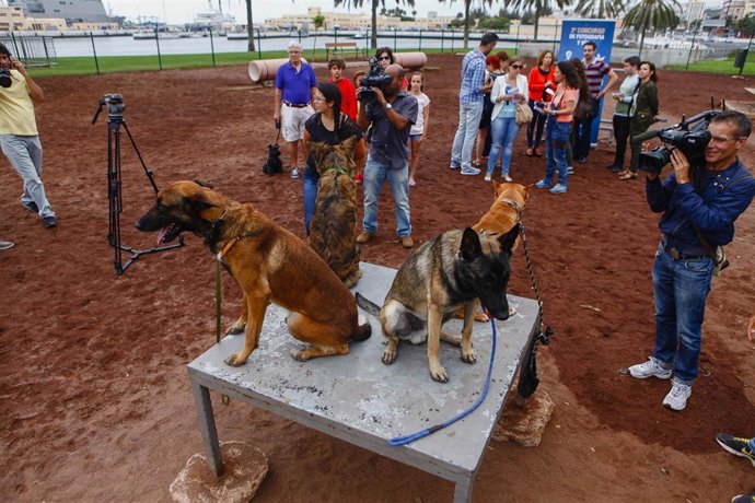Campaña 'De vacaciones con mi perro' 