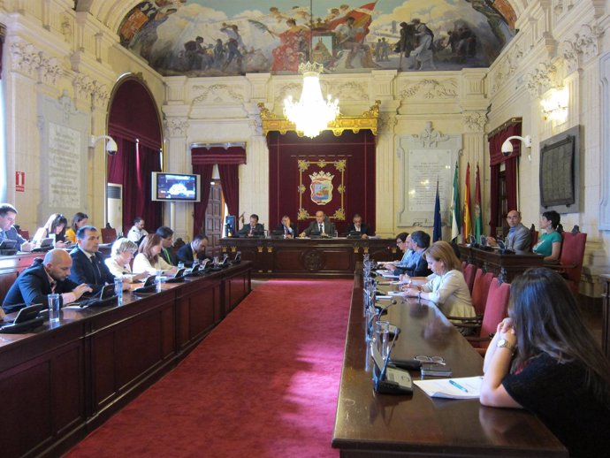 Pleno extraordinario en el Ayuntamiento de Málaga sobre política museística