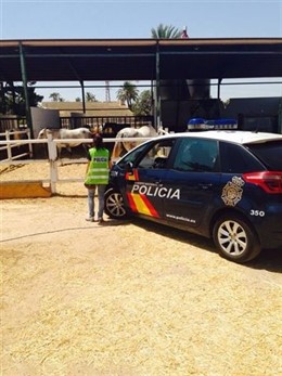 La Policía Nacional frente a una cuadra