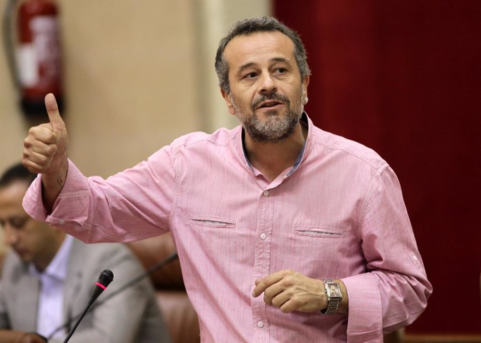 El portavoz de IULV-CA, José Antonio Castro, interviene ante el Pleno