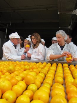 La presidenta de la Junta, Susana Díaz, en García Carrión. 