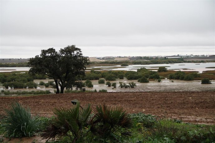 Laguna de Los Tollos