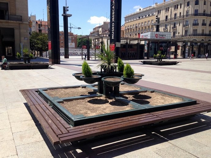 Jardineras vacías en la Plaza del Pilar