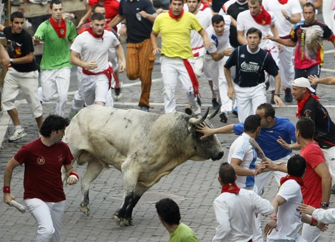 Toro de Torrestrella en el encierro de San Fermín