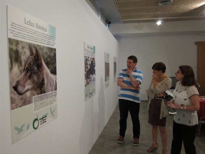 Donaire, con Montes y Fernández, ante uno de los paneles de la muestra