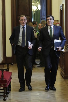 El portavoz del PP en el Congreso, Alfonso Alonso