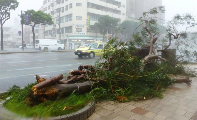 Tifón Neoguri en Japón