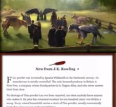 Foto: Harry Potter en 1.500 palabras, un nuevo relato en un blog interactivo
